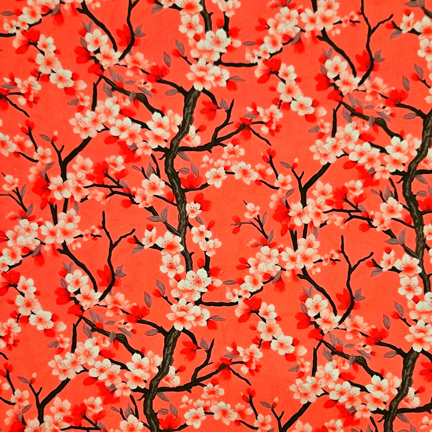 Japanese - Cherry Blossom on Coral