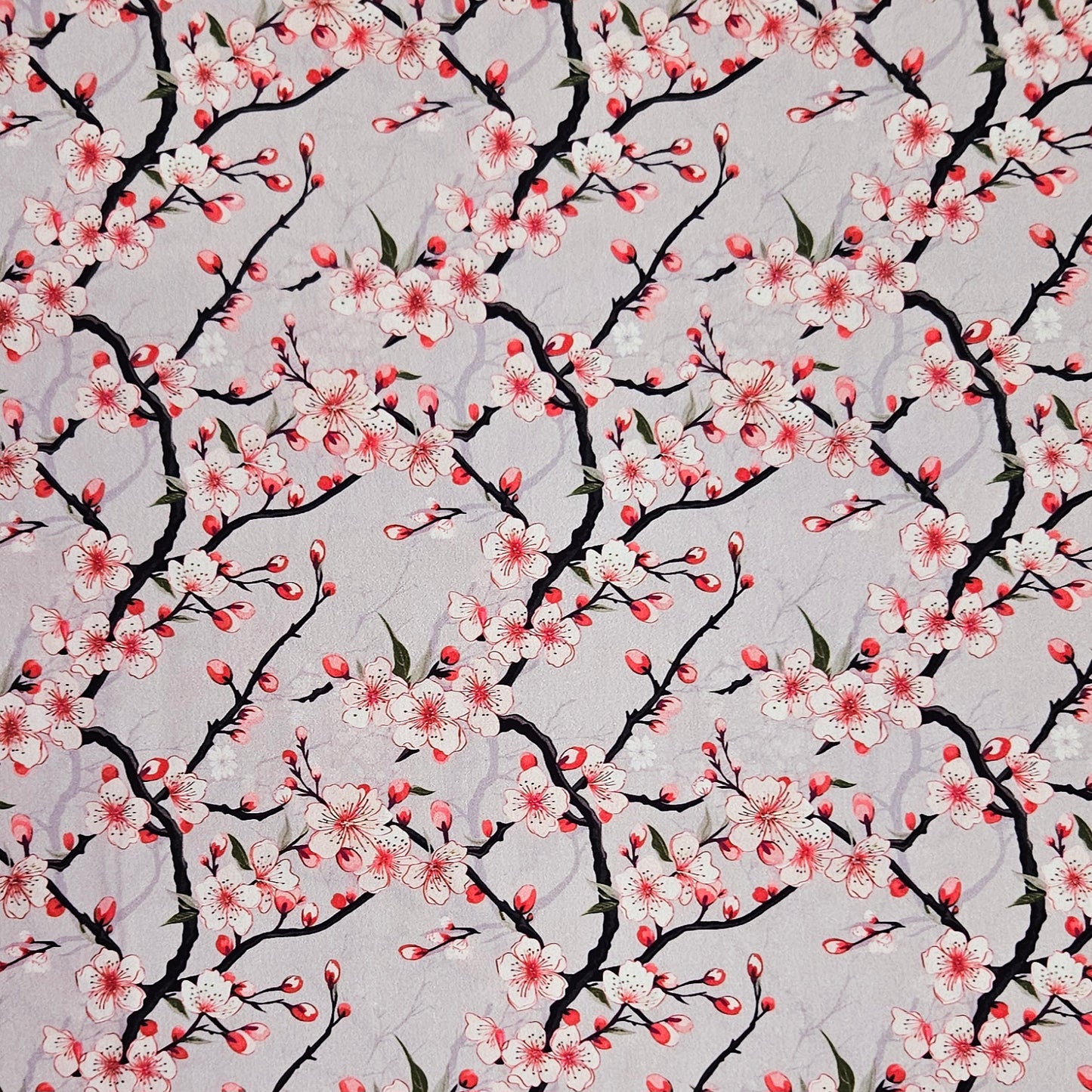 Japanese - Cherry Blossoms