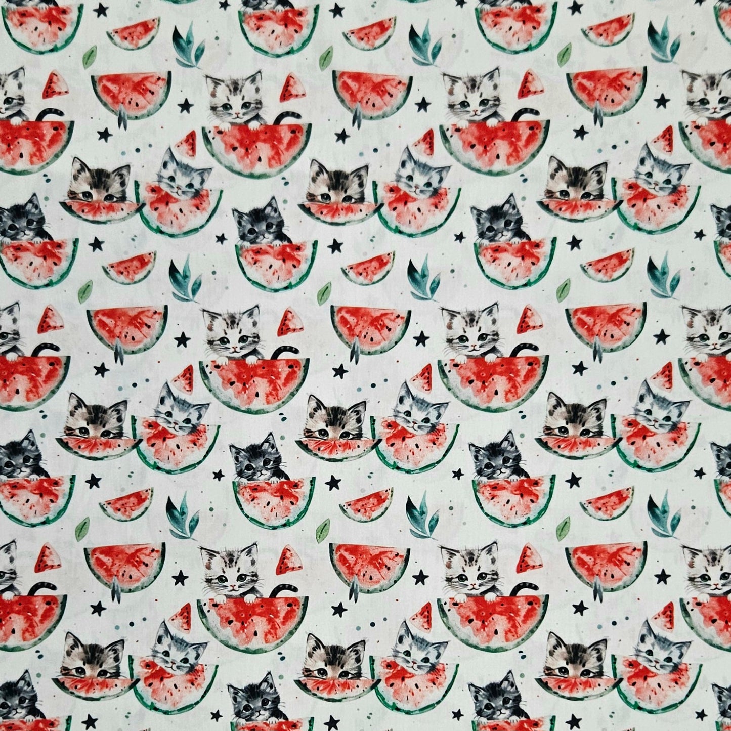 Cats and Watermelons