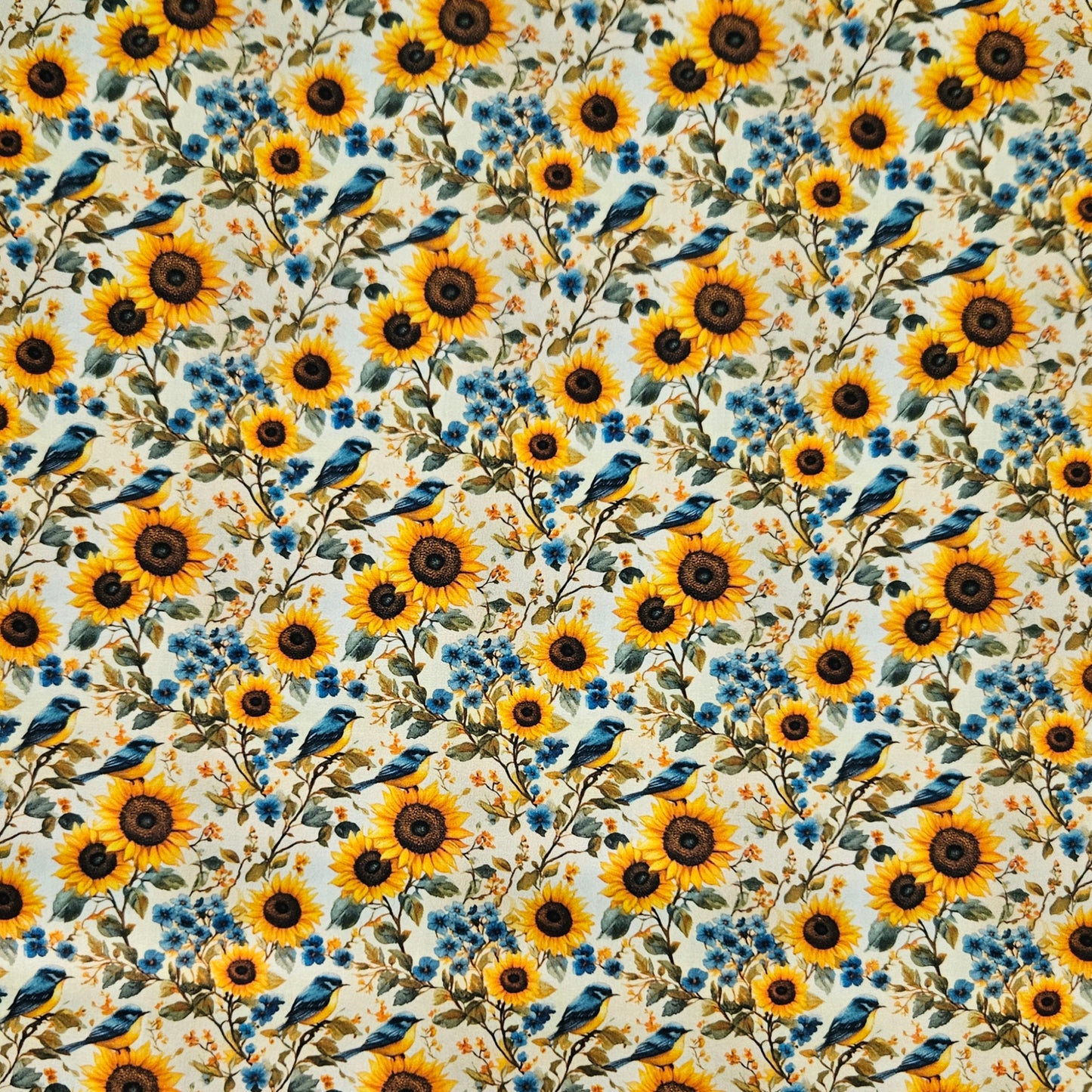 Sunflowers and Blue Wrens