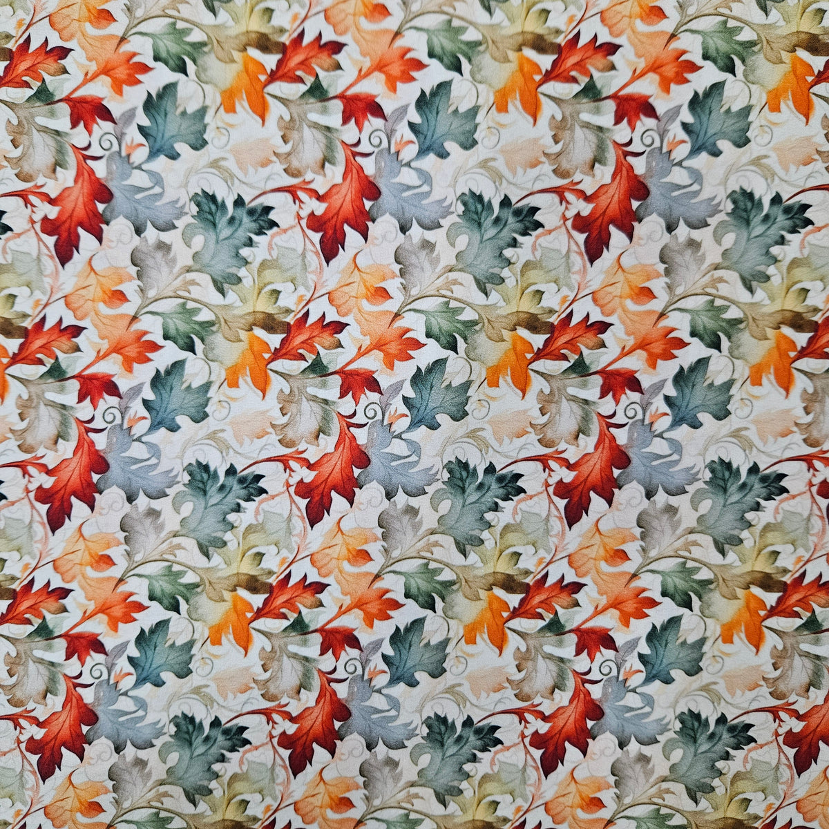Autumn Maple Leaves 7802