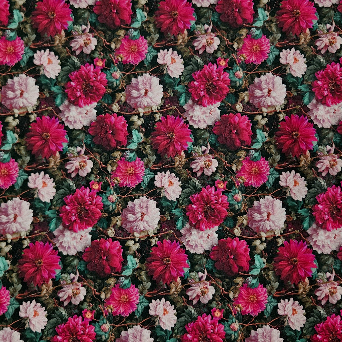 Pink Dahlias 7818