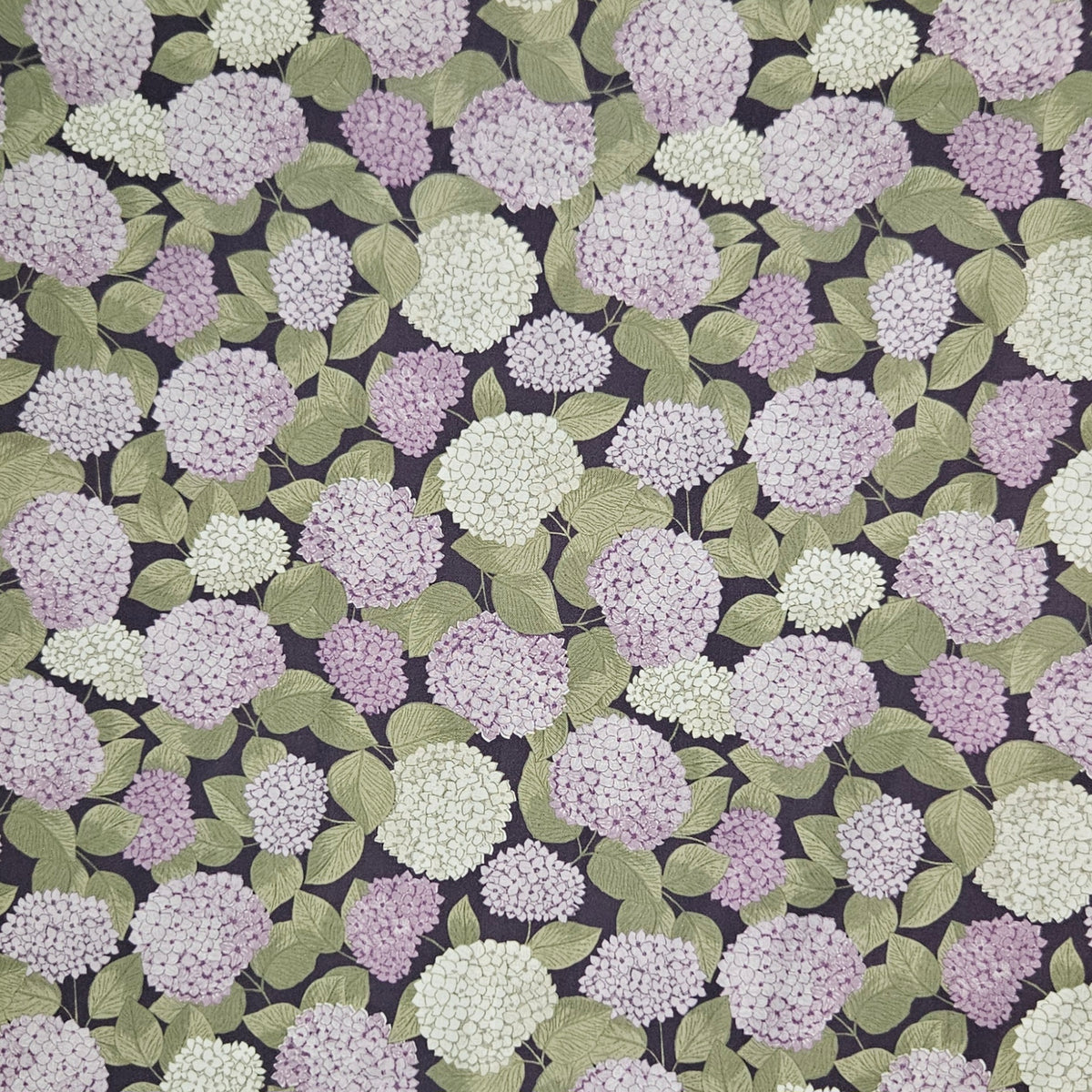 Dawn Melody - Small Hydrangeas on Purple