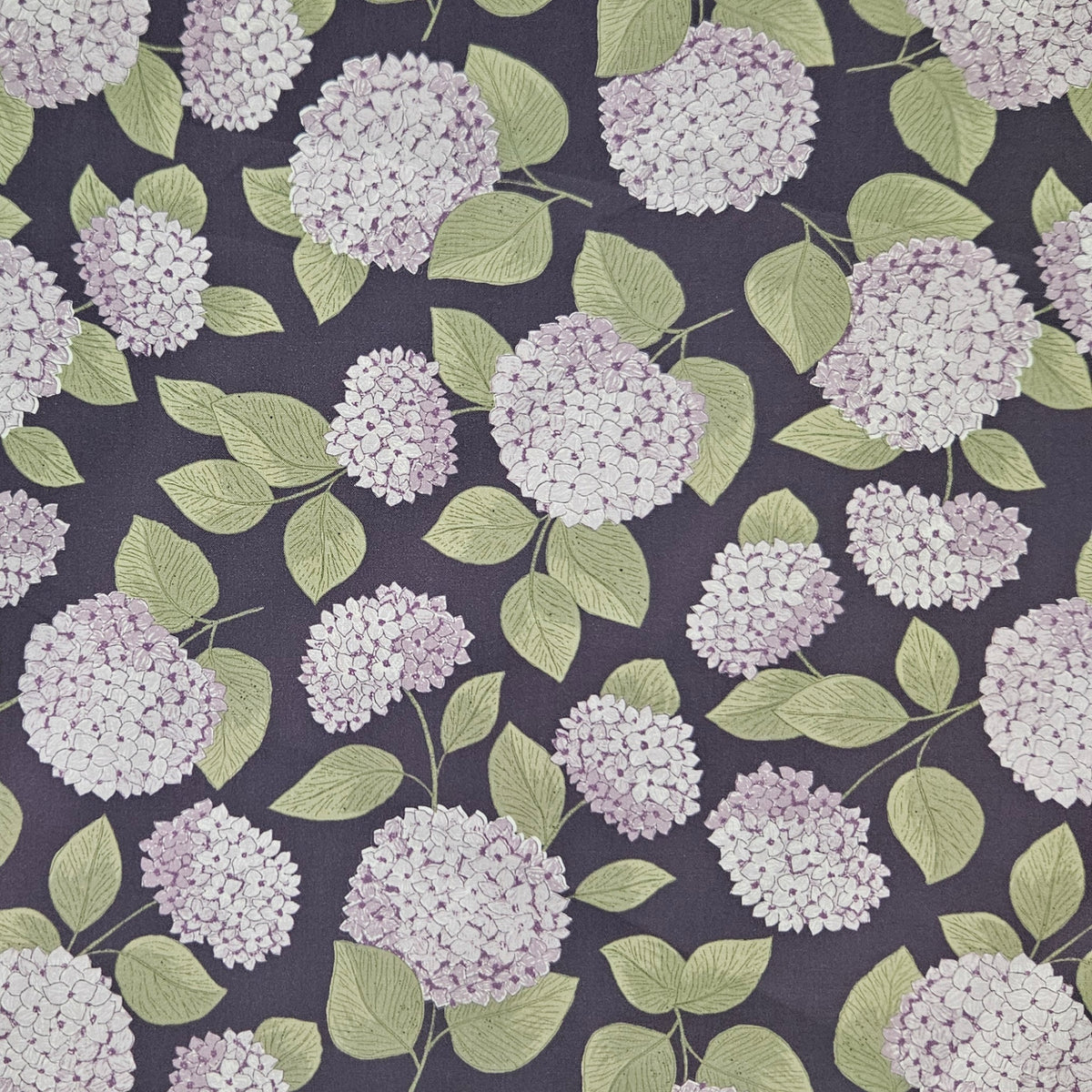 Dawn Melody - Hydrangeas on Purple