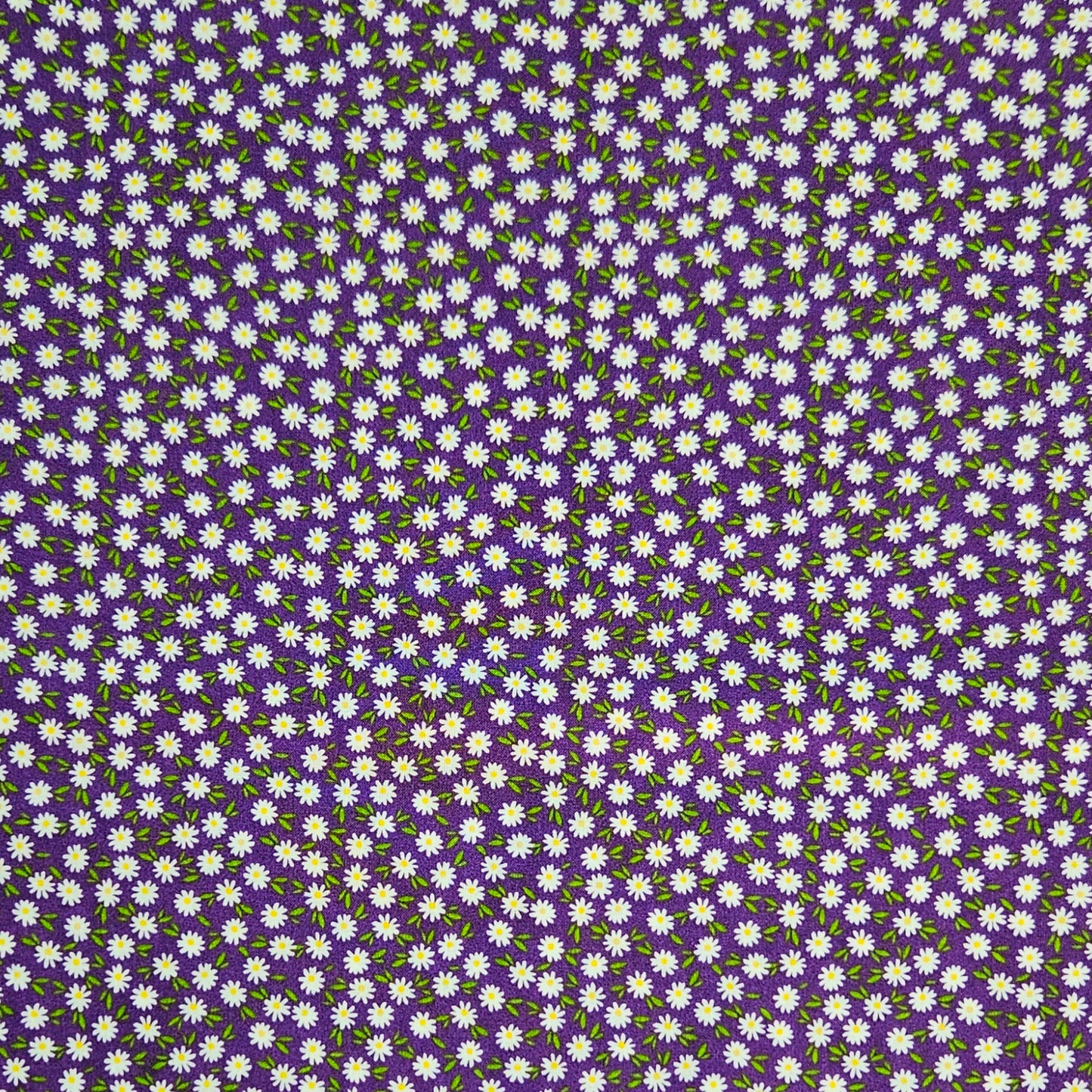 Ditsy Daisy - Purple