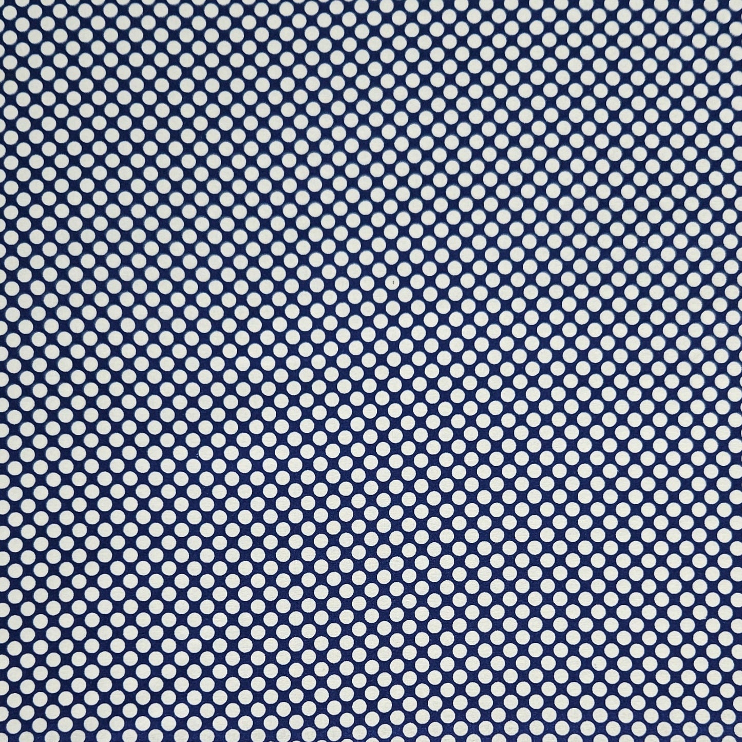 Dotty - Blue