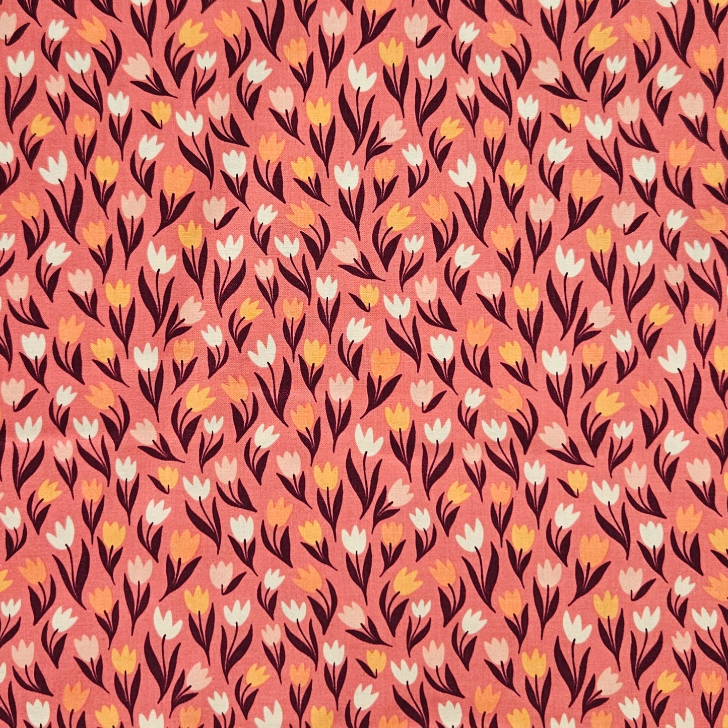 Fairy Dust - Tulips on Coral