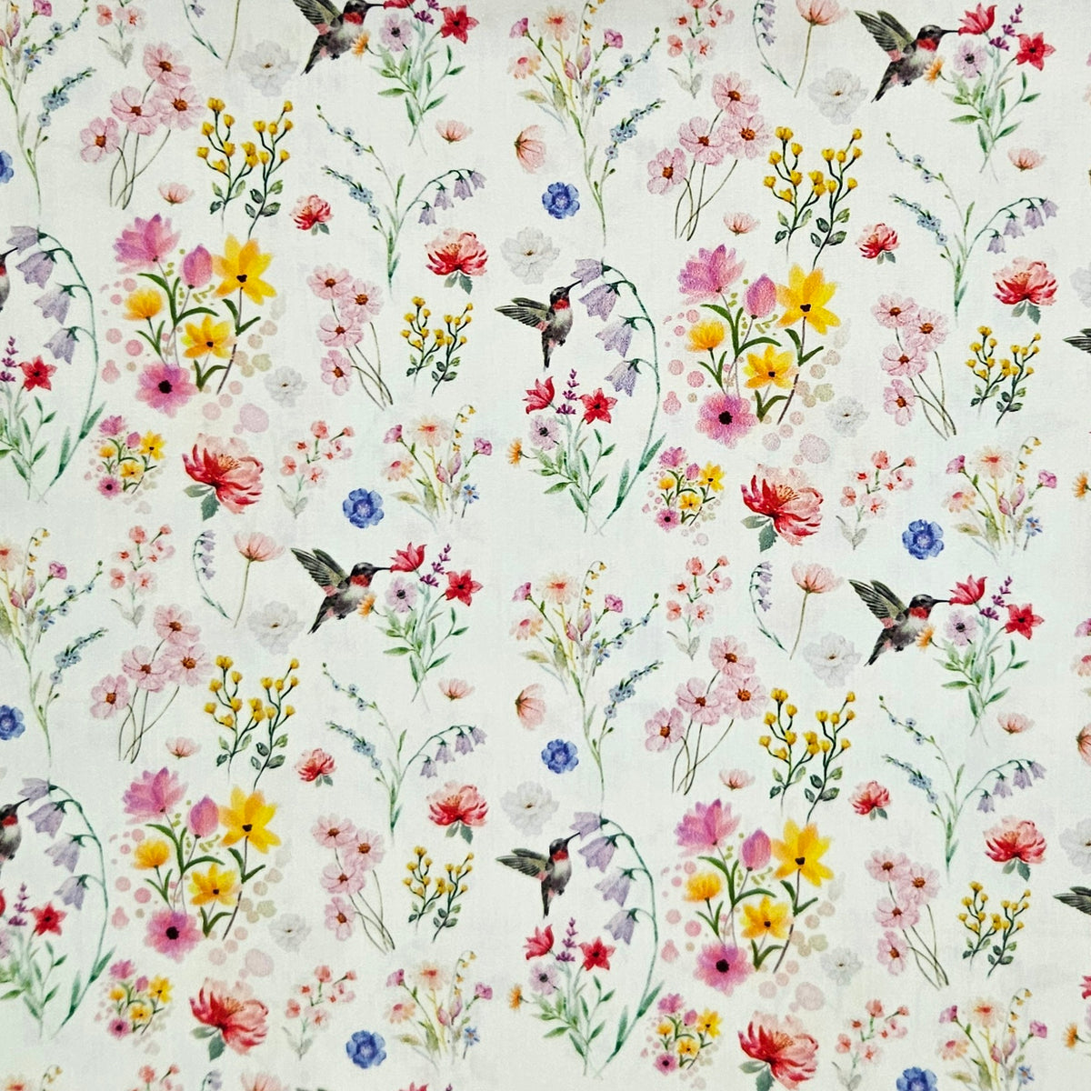 Floral Hummingbirds 7813