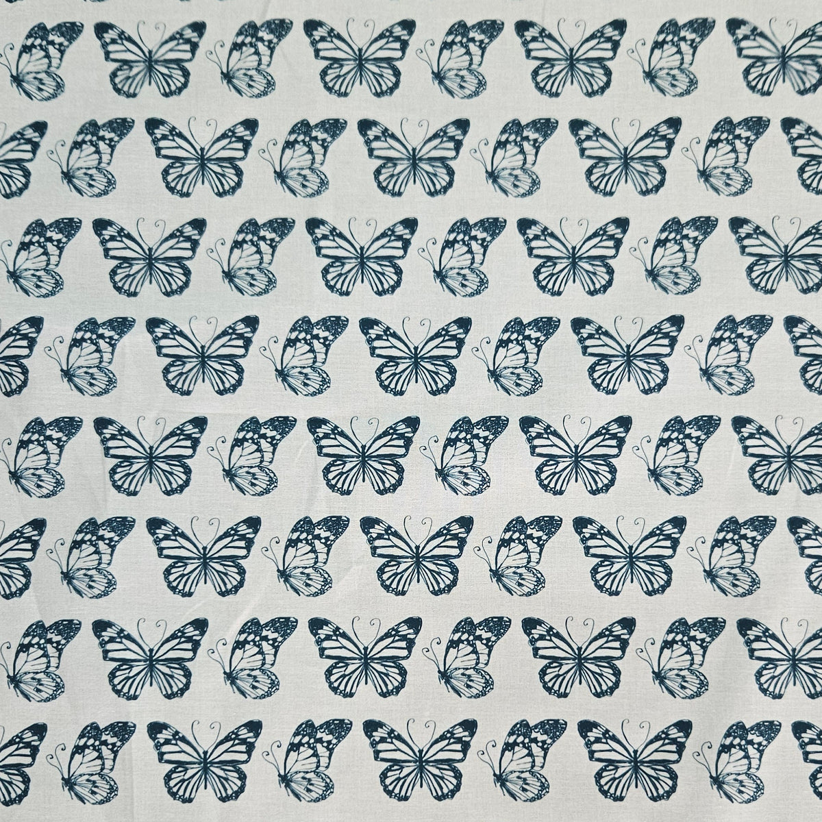 Garden Seeds - Butterflies Blue