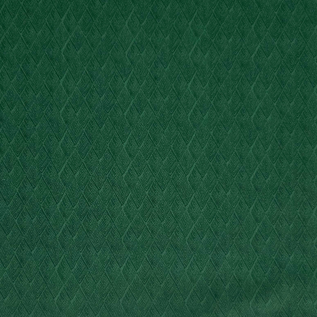 Garden Seeds - Green Blender
