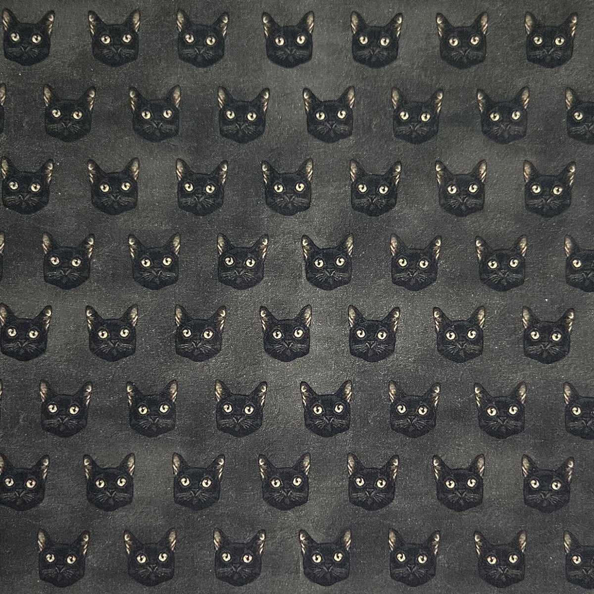 Gothic Halloween - Black Cats