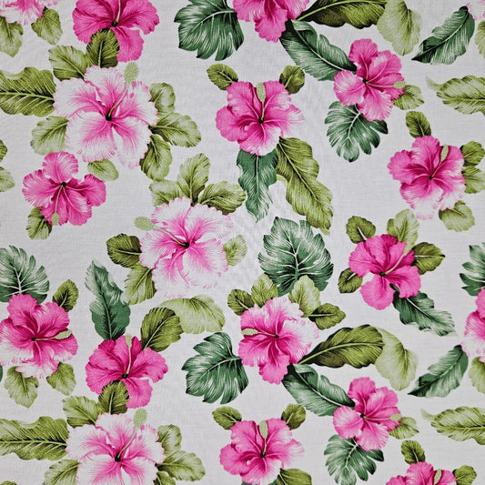 COTTON - Hibiscus on White