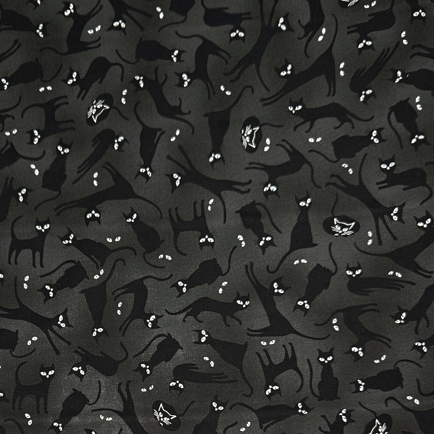 Halloween Cats on Black