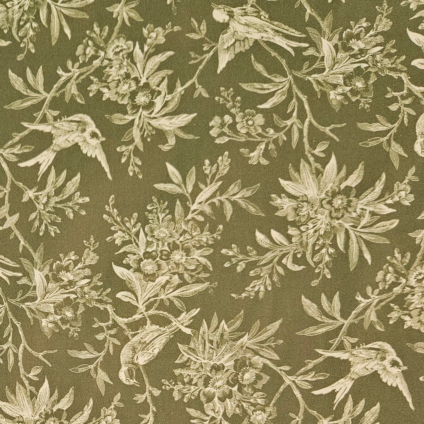 Haberdashery - Toile