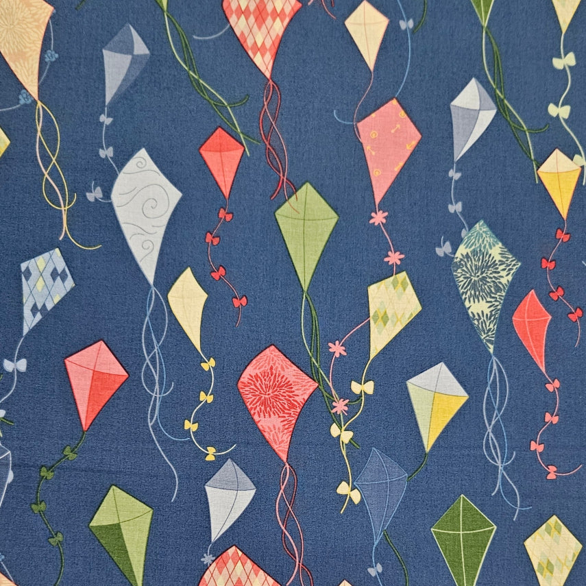 On The Wind - Kites
