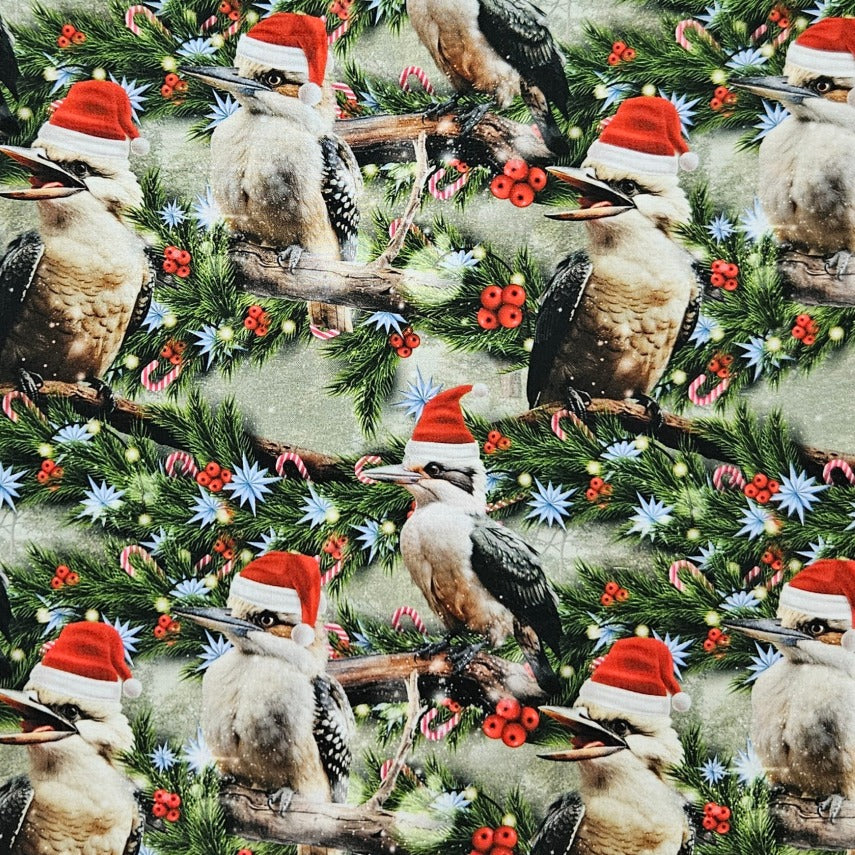 Santa in Oz - Christmas Kookaburra