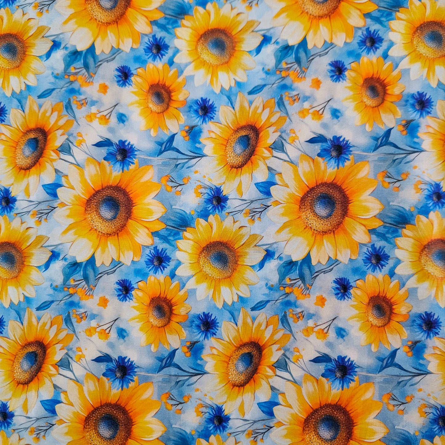 Sunflowers - Daytime