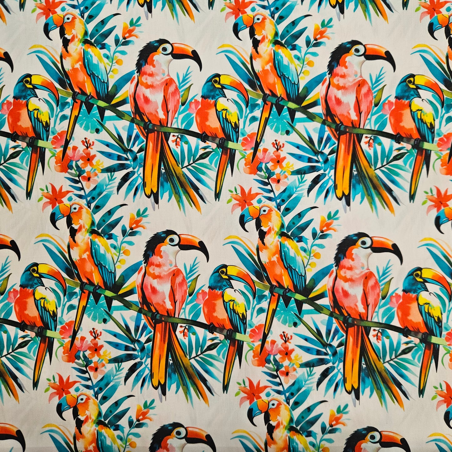 Tropical Toucans