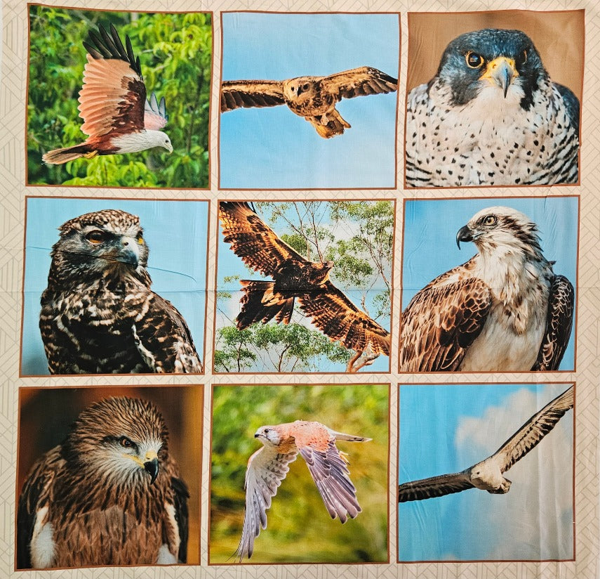 Craft Panels