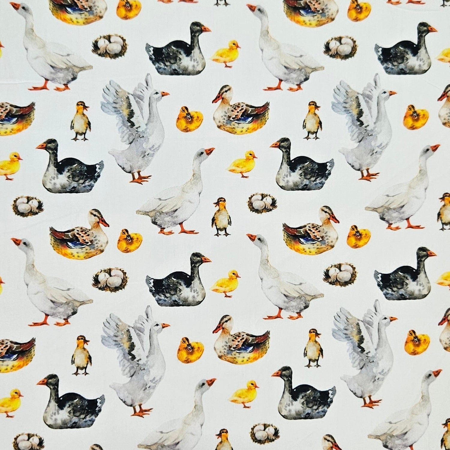 Barnyard Designs