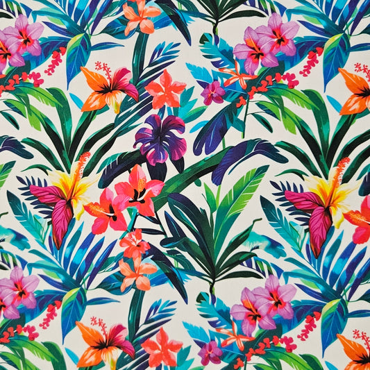Tropical Forest