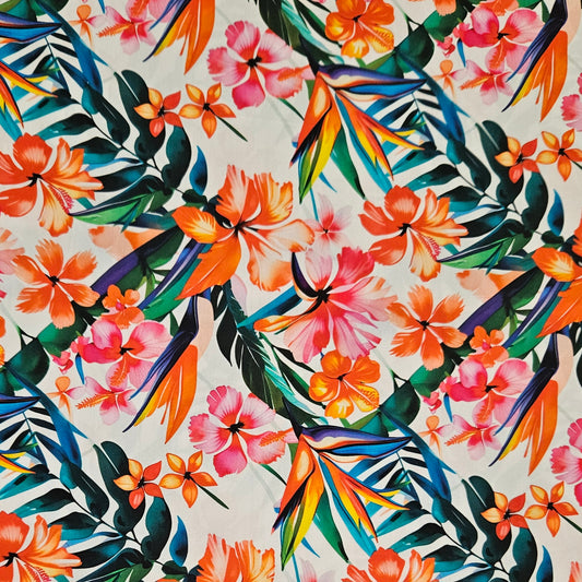 Tropical Forest - Birds of Paradise