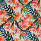 Tropical Forest - Birds of Paradise
