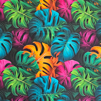 compare product Rainbow Monstera Leaves