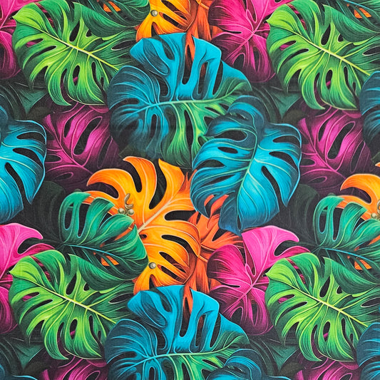 Rainbow Monstera Leaves