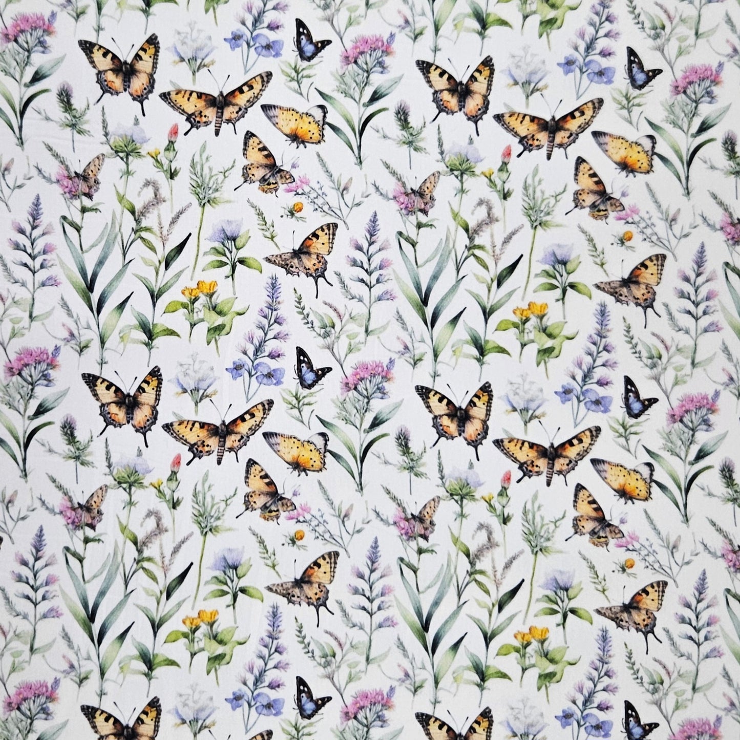 Butterflies and Florals on White