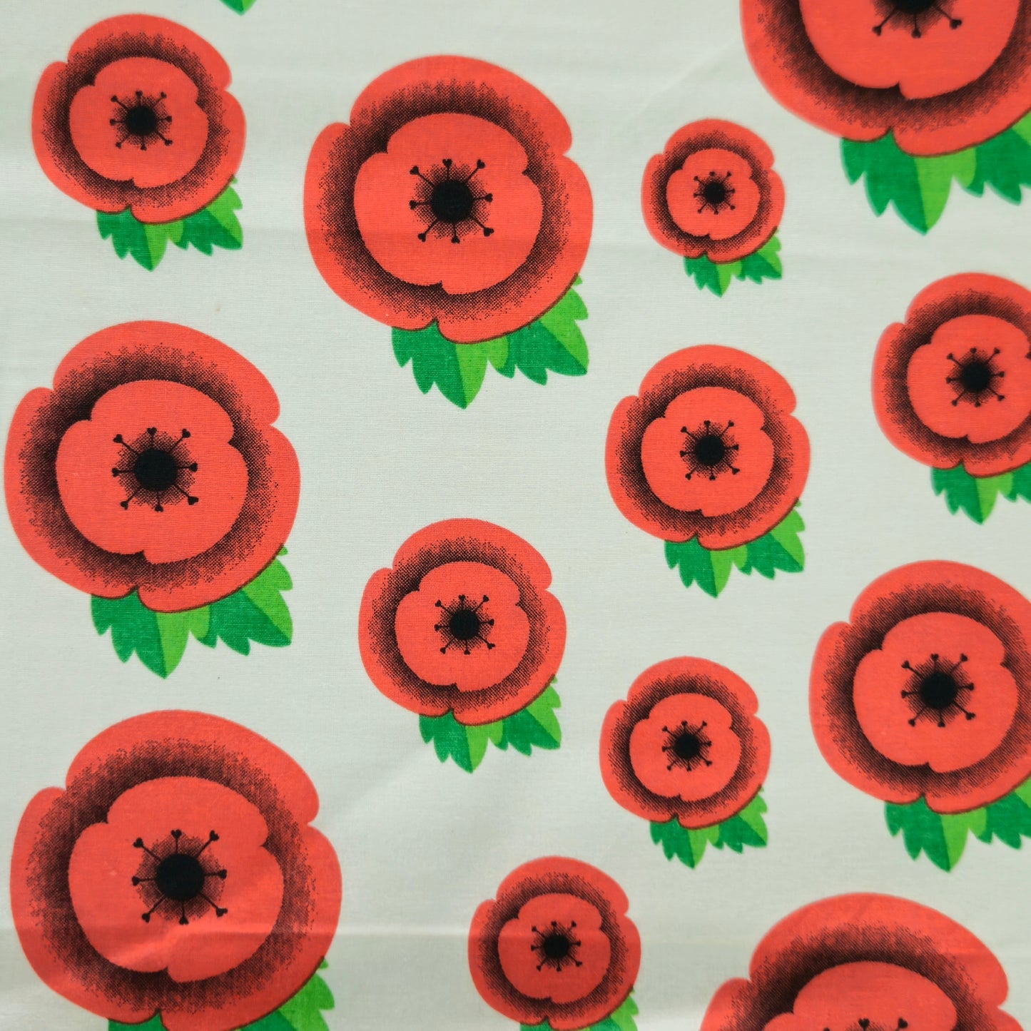 Cartoon Poppies