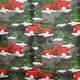 Christmas Cars