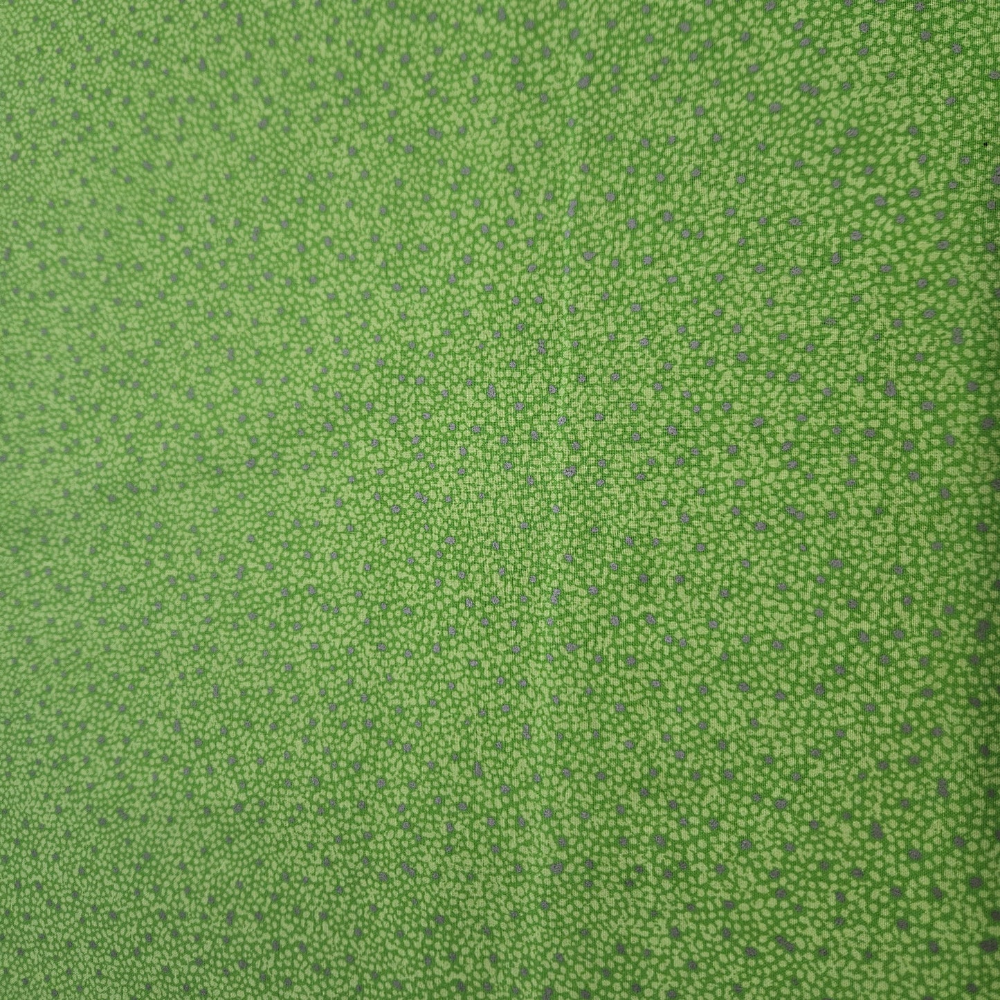 Silver Specs on Green