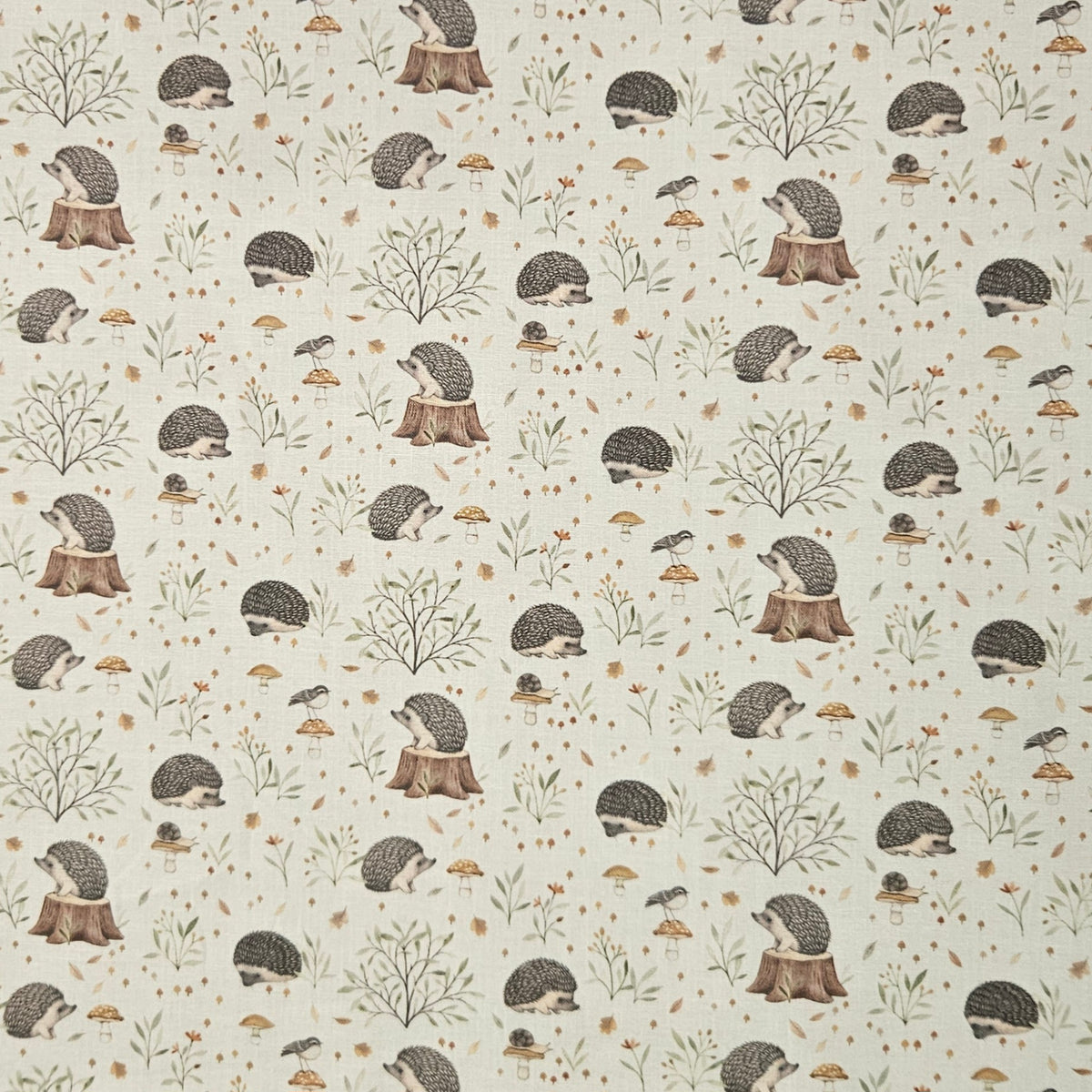 Hedgehog Forest