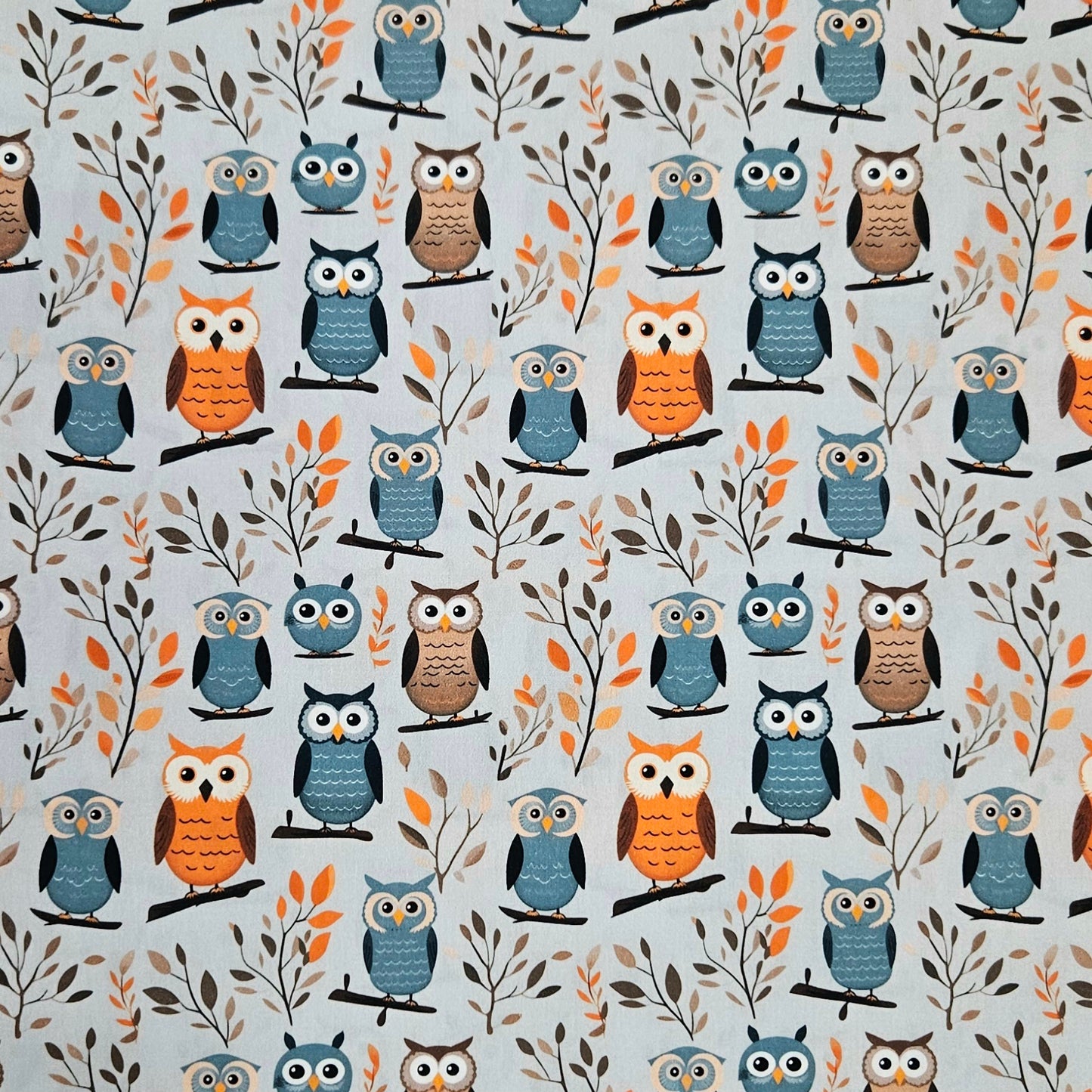 Hoot Hoot
