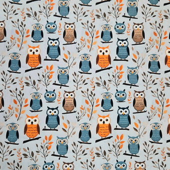 compare product Hoot Hoot