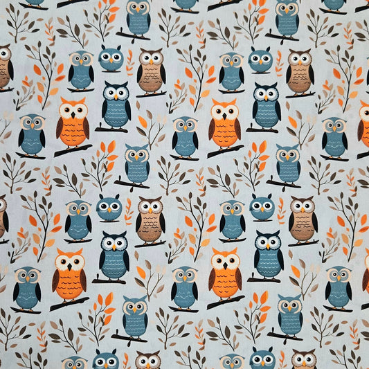 Hoot Hoot