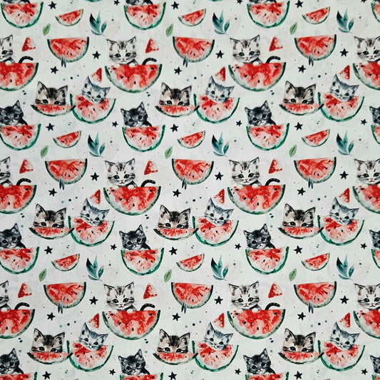 Cats and Watermelons