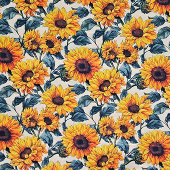 compare product Sunflowers on White