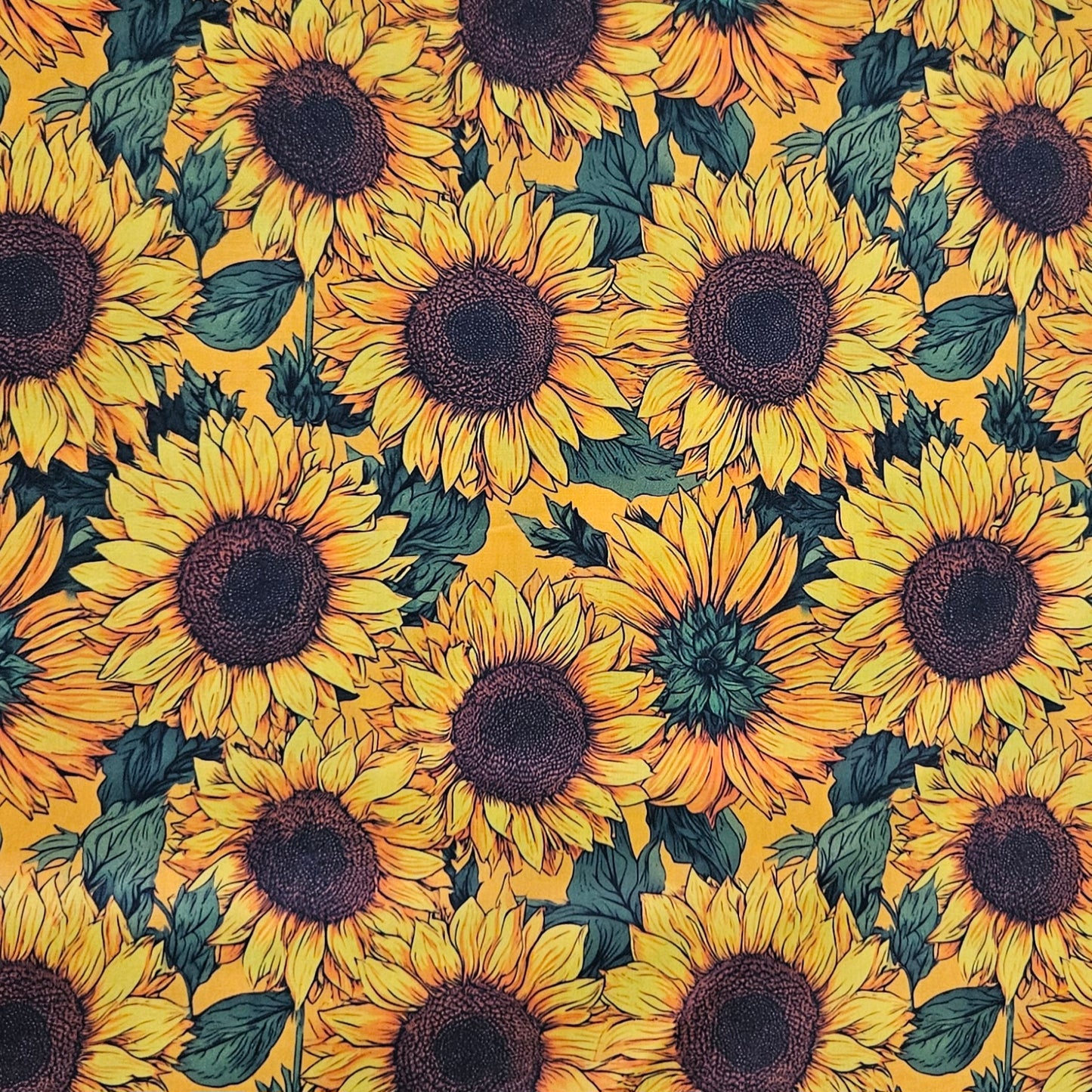 Sunflowers - Orange