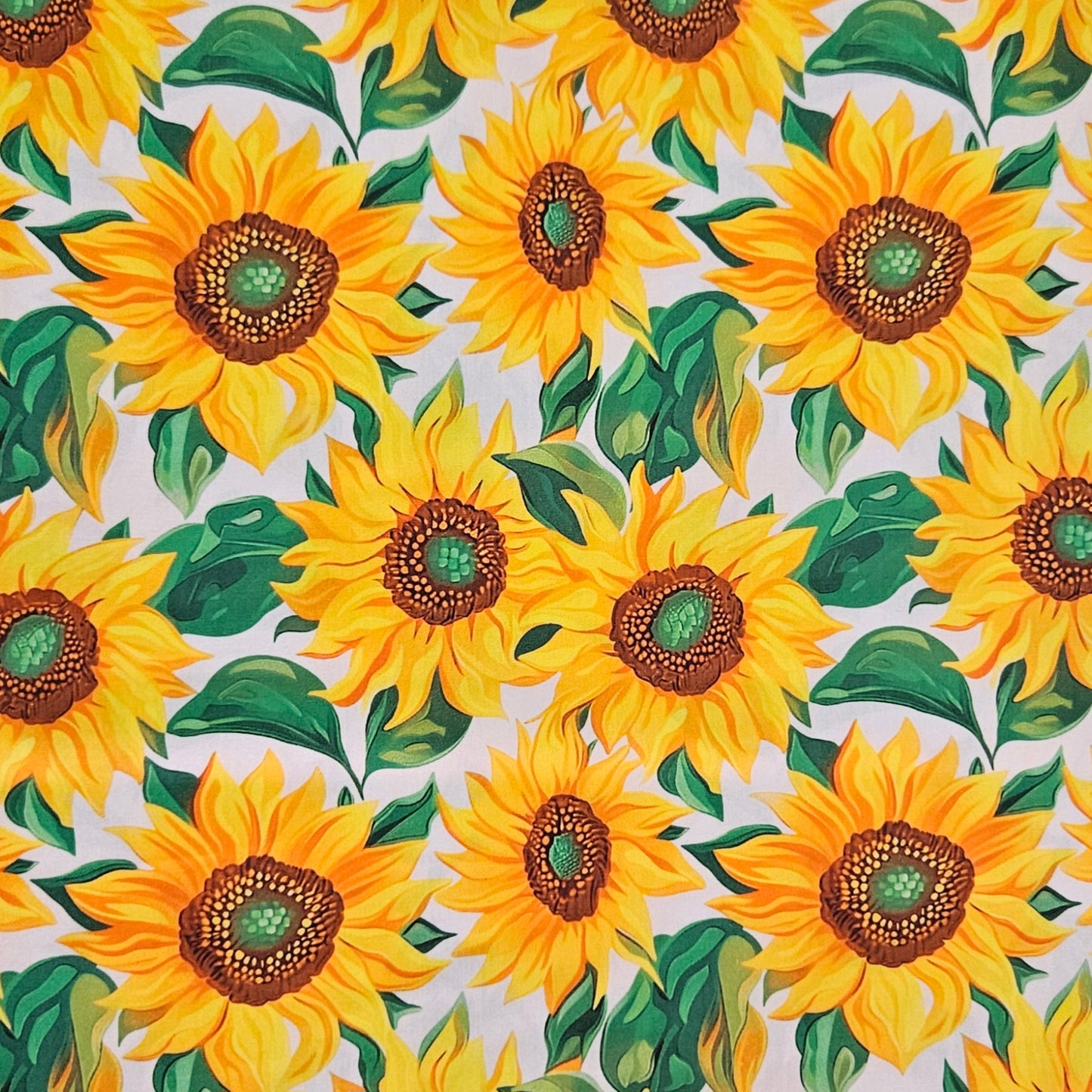 Sunflowers - Flowers on White
