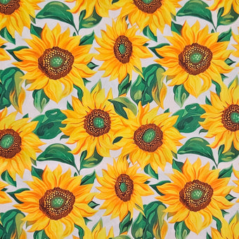 compare product Sunflowers - Flowers on White