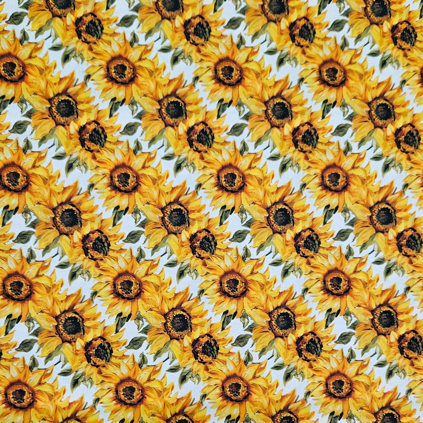 Sunflower Stripes