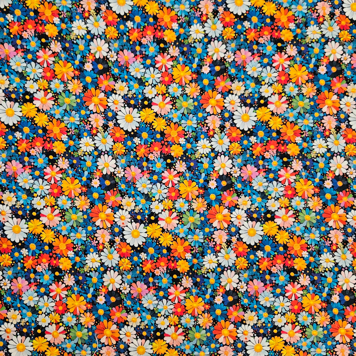 Mini Florals - Multi Daisies 7761
