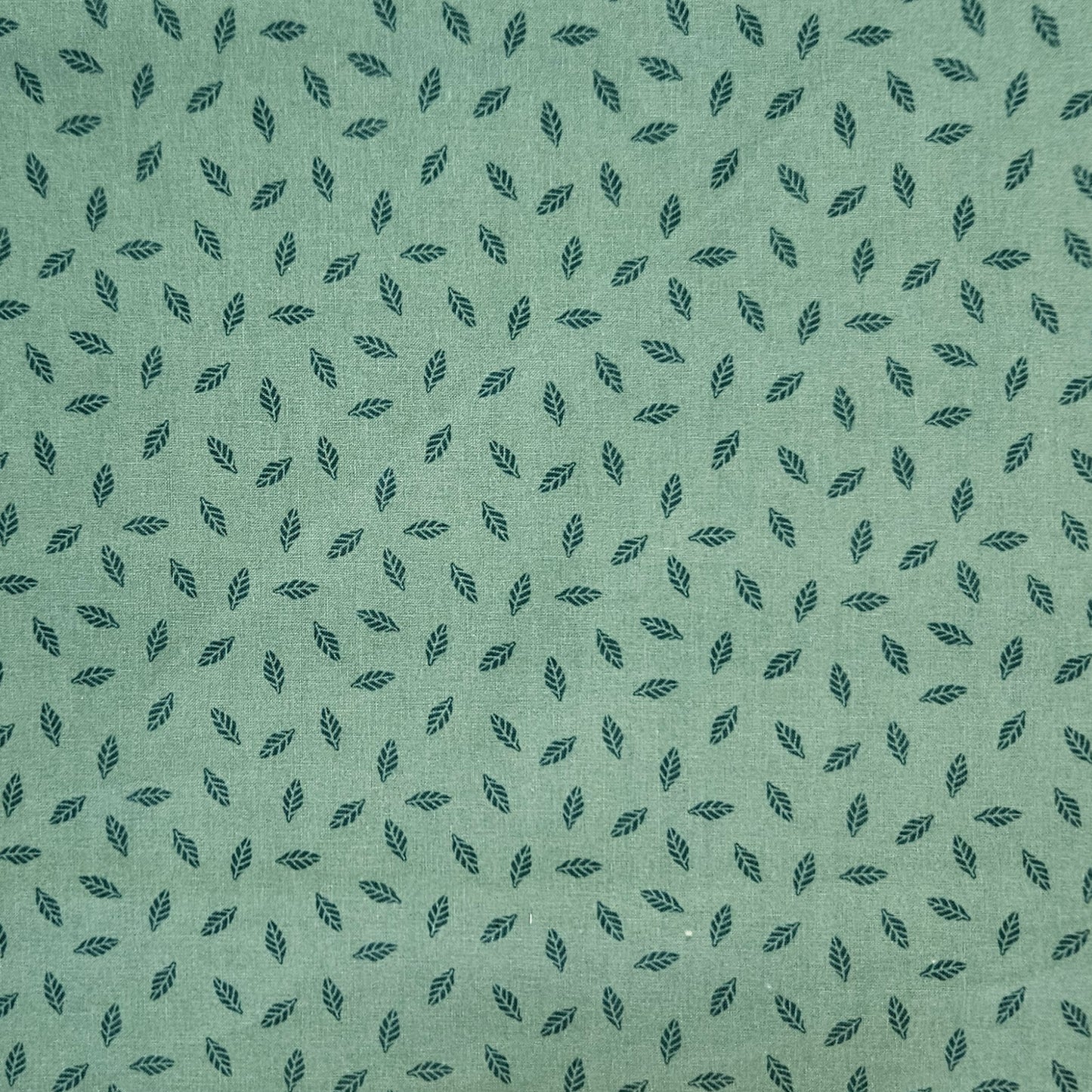 Australiana - Leaves