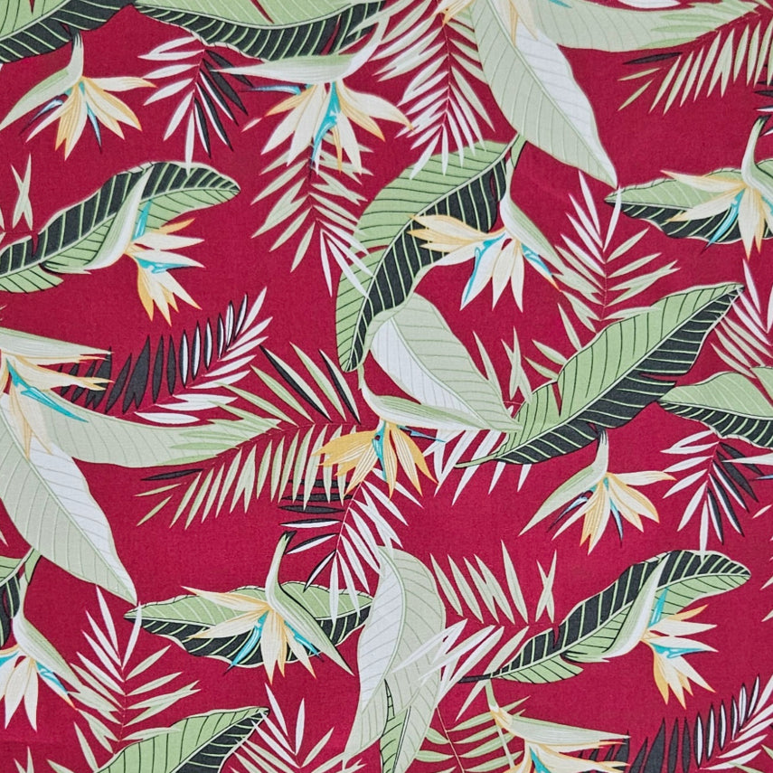 Birds of Paradise on Red
