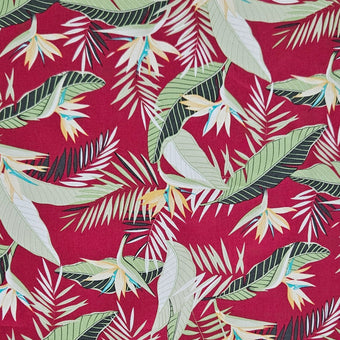 compare product Birds of Paradise on Red