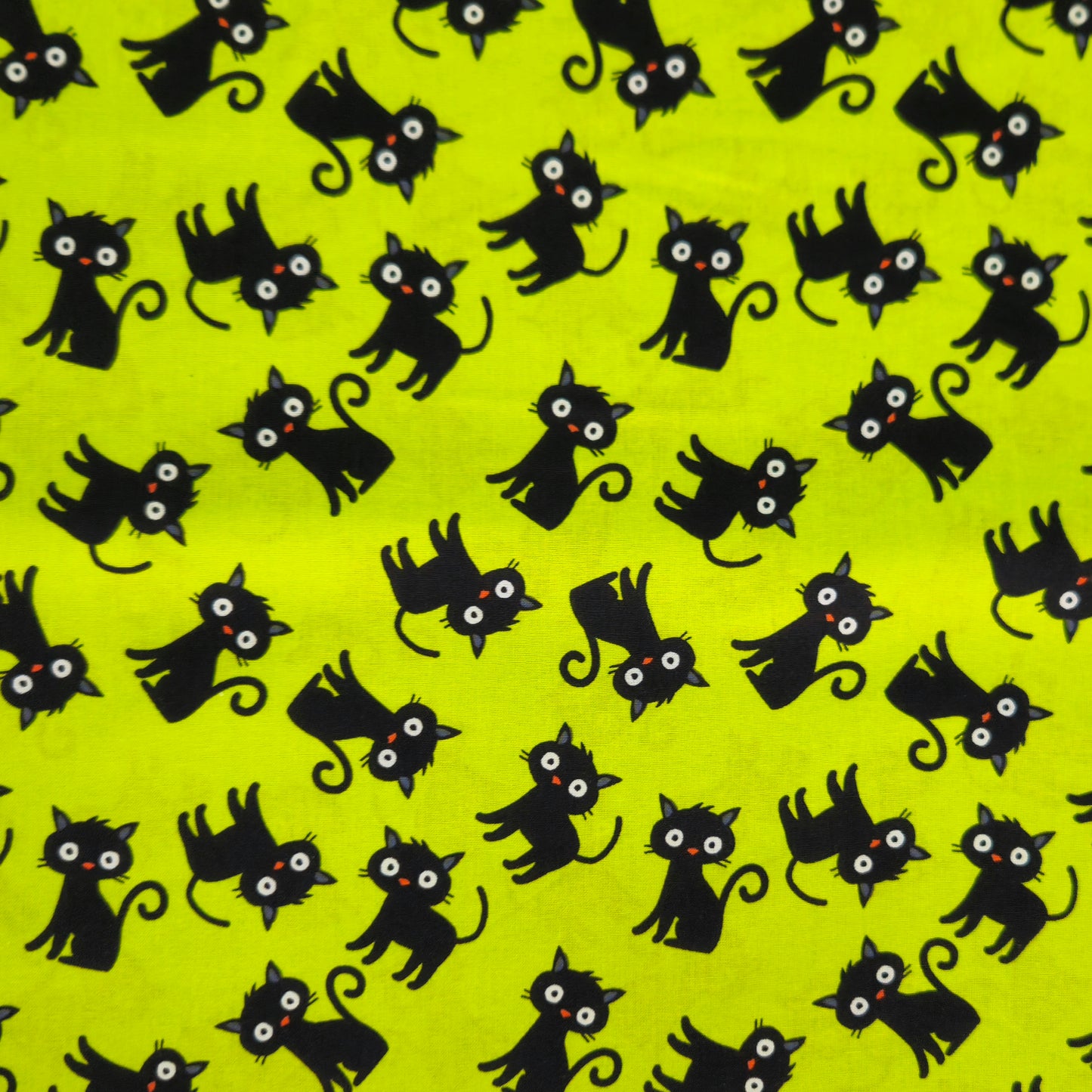 Black Cats on Lime