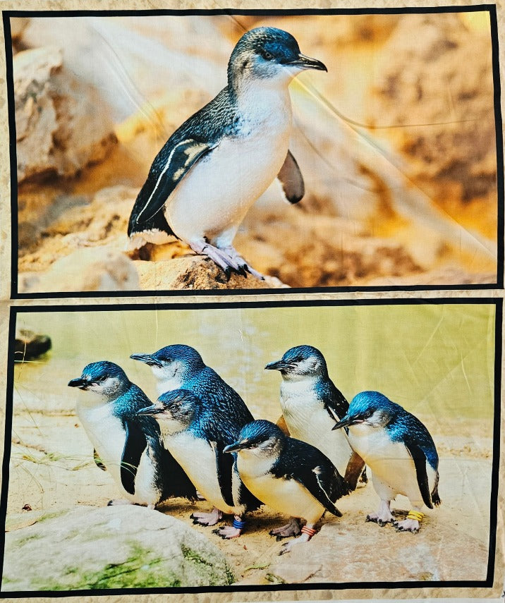 Craft Panel - Fairy Penguins - 36in Panel