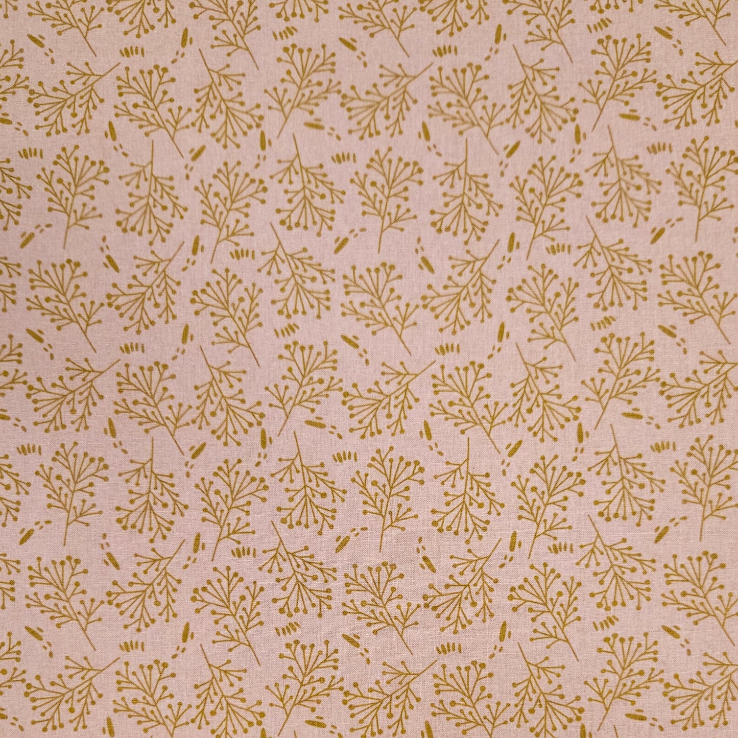 Chintz - Stem